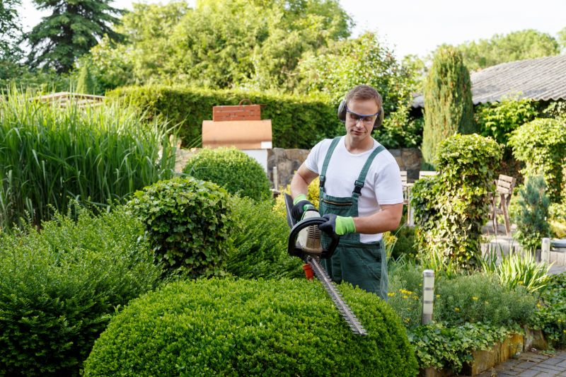 Shrub Trimming Process
